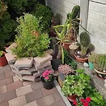 Delle Vacanze * Keszthely