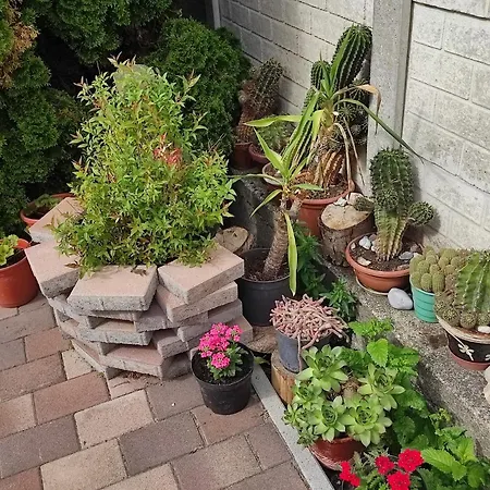 Delle Vacanze * Keszthely