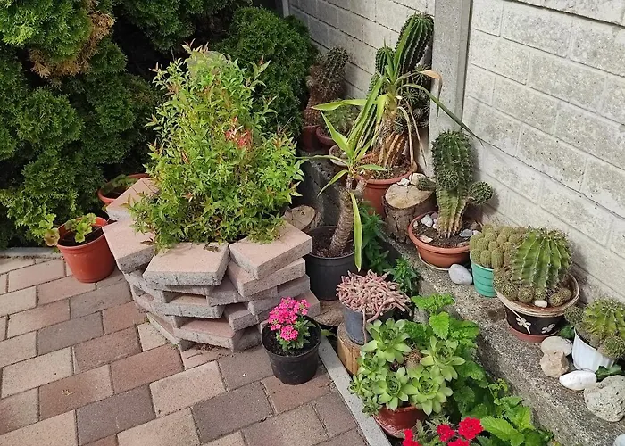 Delle Vacanze * Keszthely