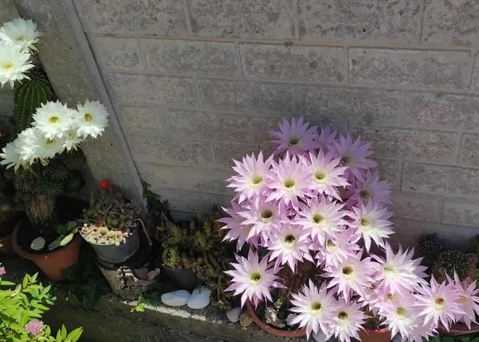 Delle Vacanze * Keszthely